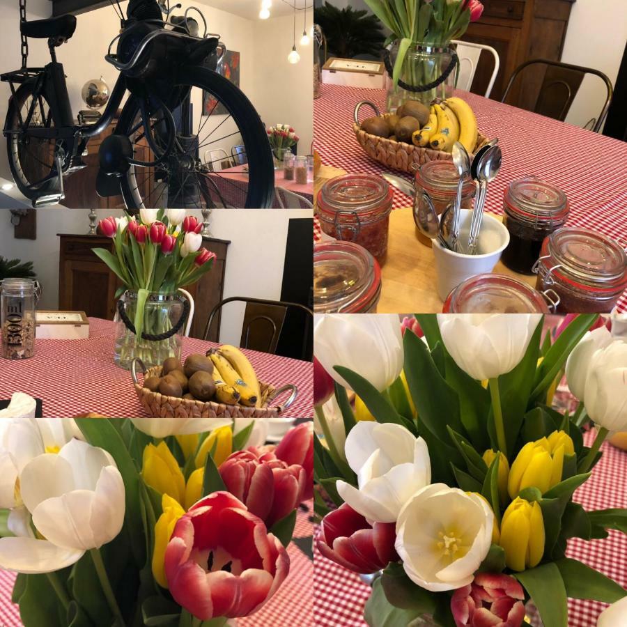 B&B - Le Jardin Du Palais Каркасон Екстериор снимка