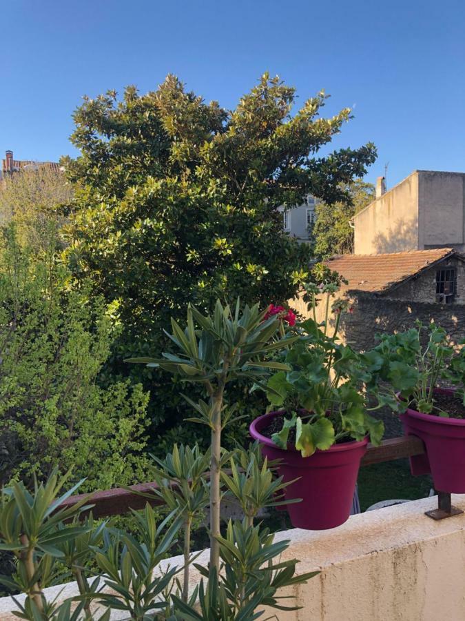 B&B - Le Jardin Du Palais Каркасон Екстериор снимка